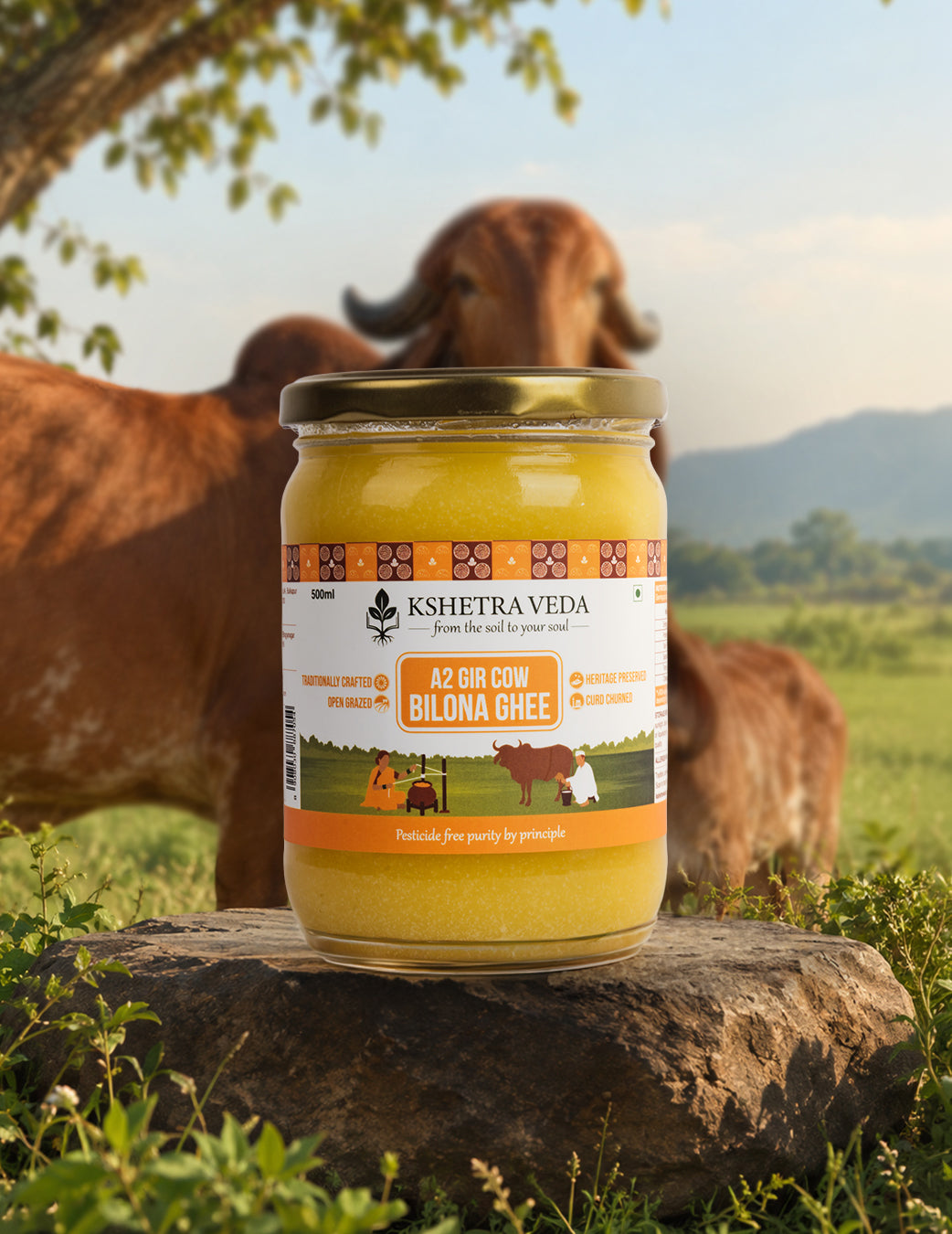 Kshetra Veda A2 Gir Cow Bilona Ghee 500ml (452g)