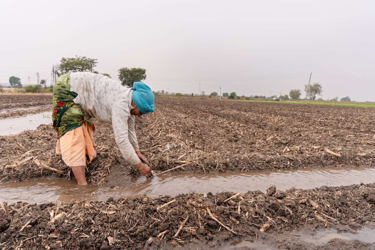 Indian farmer with soil